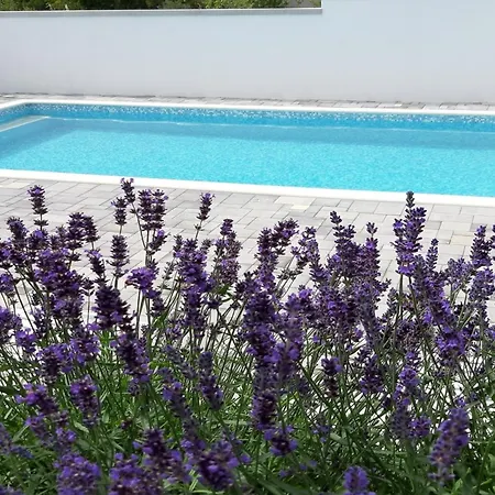 With Swimming Pool Seline, Paklenica - 25503 Apartamento Starigrad Paklenica